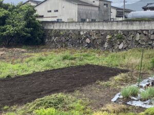 コットンプロジェクト開催します！